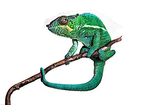xổ số đắk lắk hôm nay