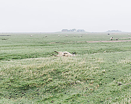 đề 1 ăn 99